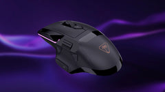 Command Series MC5 Mouse